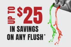 ANY FLUSH SERVICE